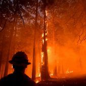 Neuer Brand bedroht Hunderte Menschen