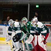 Eishockeyklubs testen vor der neuen Saison 26 Mal