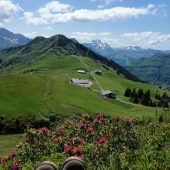 VN-Leserfotos.Ihr Bild in der VN-Heimat