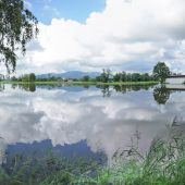 Überschwemmungen im Harder Ried