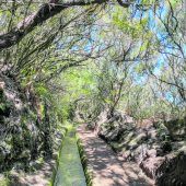 Bekannte Nachbarinsel: Madeira