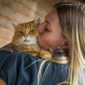 Am 8. August wird der Welttag der Katze gefeiert. »A5