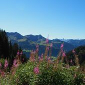 Zwei auf einen Streich: doppelt schöne Aussicht