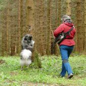 Hunde im Naturschutz