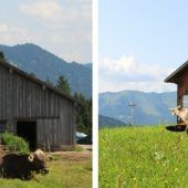 Dreistufenlandwirtschaft beeindruckt