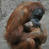 Liebevolle Mutter