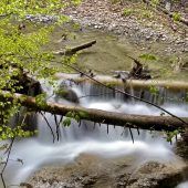 Schönes Vorarlberg