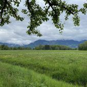 Naturschutzinitia­­­tive Transform will „Golden Gate“ für S 18