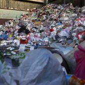 Bekämpfung von Plastikmüll mithilfe von Rindermägen