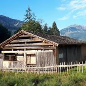 Wie steht es um die Wälder Schindelkultur?