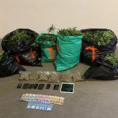 Polizist mit feiner Nase entdeckt in seiner Freizeit Cannabisplantage