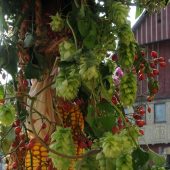 Herbstbeginn auf dem Dornbirner Marktplatz