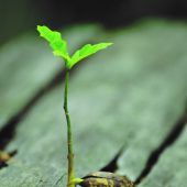 „Agenda 2030 ist globaler Plan …