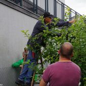 Eingesendet. Vereinsnachrichten aus dem Bezirk