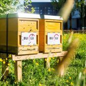 Buchdruckerei Lustenau übernimmt Verantwortung