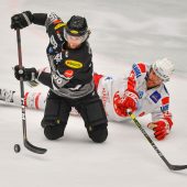 Beck glaubt, dass die Bulldogs wieder liefern