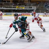 Dornbirn hatte viel Mühe mit Landshut