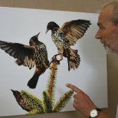 Faszinierende Vogelwelt im Kamera-Fadenkreuz
