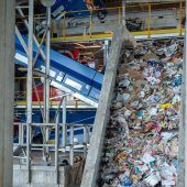 Altpapier effizienter sortieren und 140 Bäume zum CO2-Ausgleich