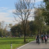 Erstmals Ried-Rad-Ritterspiele am Sonntag