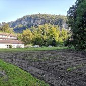 Ein eigener Garten für Schmetterlinge