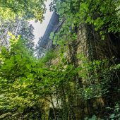 Dunkles Gewölbe im Grünen