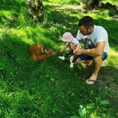 Trauer bei Familie Felder in Gortipohl: Jäger erlegte Tiere in ihrem Gehege. »A8