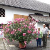 Gigantisch
