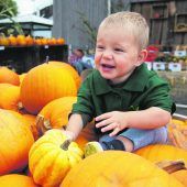 Herbstzeit ist Kürbiszeit