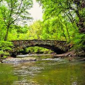 Rock Creek Park in Washington, D.C.