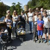 Großer Empfang für Älpler und Vieh an der Enz