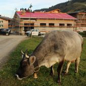 Sommer-Zahlen machen Wälder Tourismus Mut