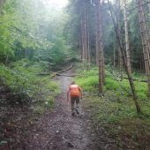 Laufschuhe schnüren für Stunde des Herzens