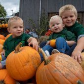 Der leuchtende Star im Herbst