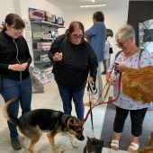 Neues Geschäft für Katzen und Hunde