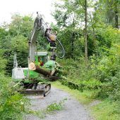 Wald-Rodungen für Hochwasserschutz