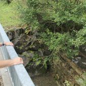 35 Jahre Wildbäche und Lawinen gezähmt