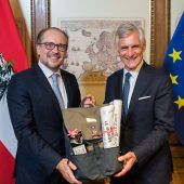 Regierungskrise in Österreich