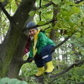 Ein ganzer Wald zum Spielen