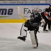 Bulldogs halfen beim Umsturz mit