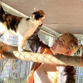 Feine Katzen mit sanften Tatzen