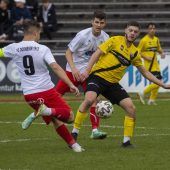 Zwei Bregenzer Klubs im Cup-Achtelfinale