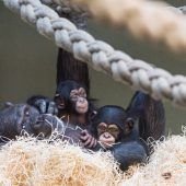 Liebevolle Adoptivmutter