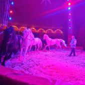 Manege frei für den Zirkus Berlin