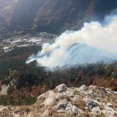 Feuer wütet in Waldgebiet
