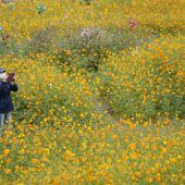 Bilder des Tages