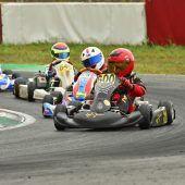 Sieg im Finale
