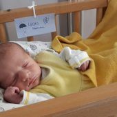 Leon Hartmann aus Schlins