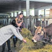 Allergievorsorge ab Hof