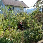 Herbstliche Pflanzentauschbörse in „Melittas Garten“